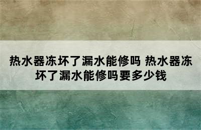 热水器冻坏了漏水能修吗 热水器冻坏了漏水能修吗要多少钱